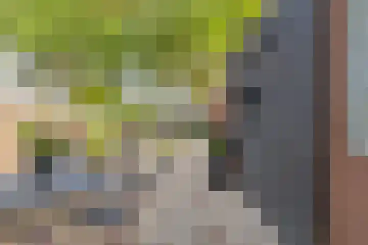 Hamarpad 6 Capelle aan den IJssel thumbnail 40