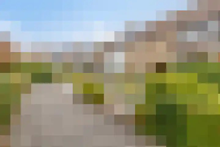 Hamarpad 6 Capelle aan den IJssel thumbnail 44