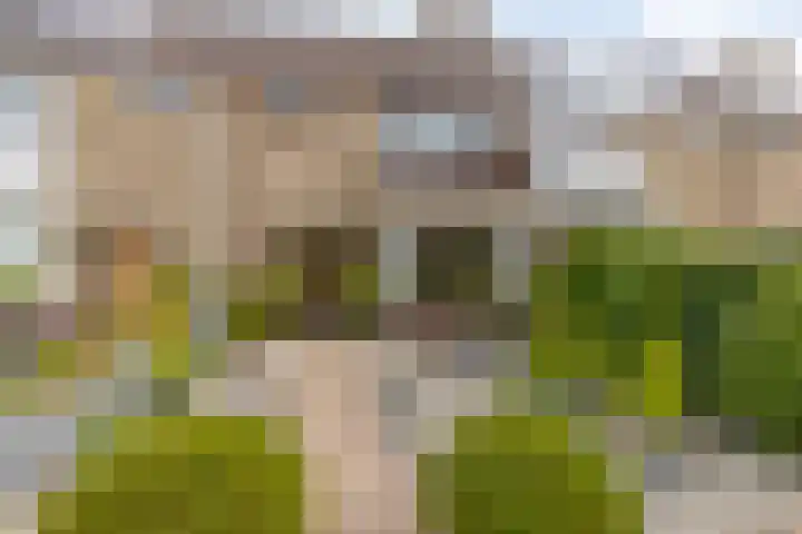 Hamarpad 6 Capelle aan den IJssel thumbnail 5