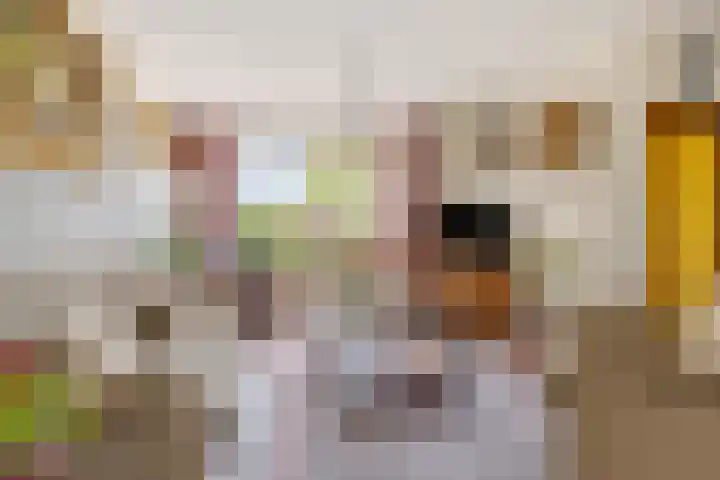 Hamarpad 6 Capelle aan den IJssel thumbnail 9