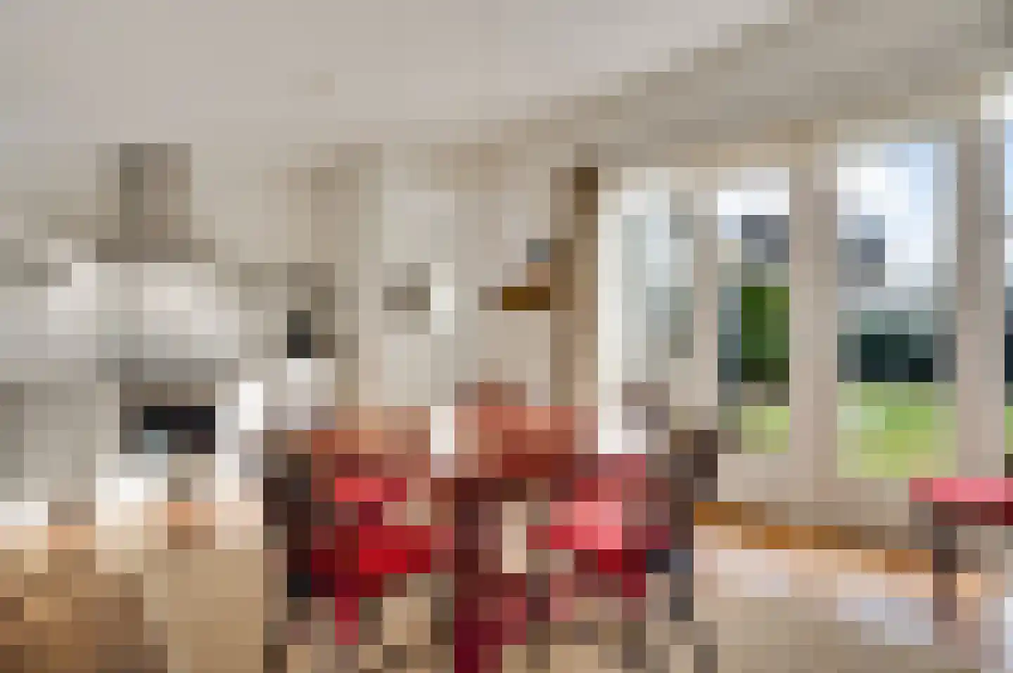 Hambeek 13 Roermond thumbnail 14