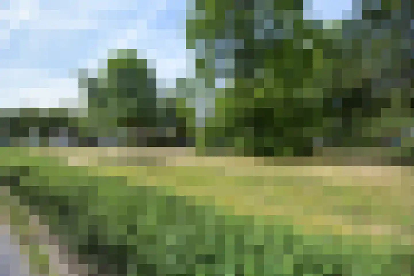 Hambeek 28 Roermond thumbnail 30