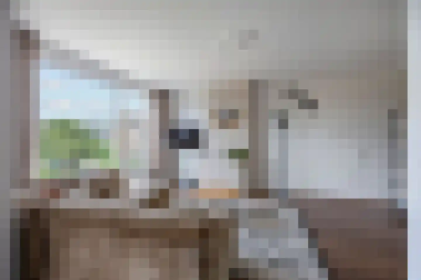 Hambeek 28 Roermond thumbnail 8