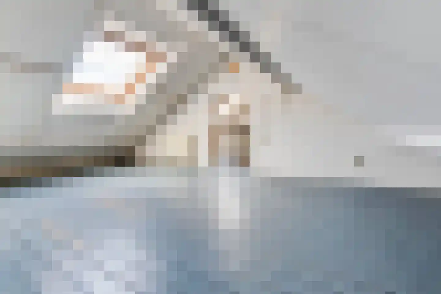 Hambeek 51 Roermond thumbnail 25