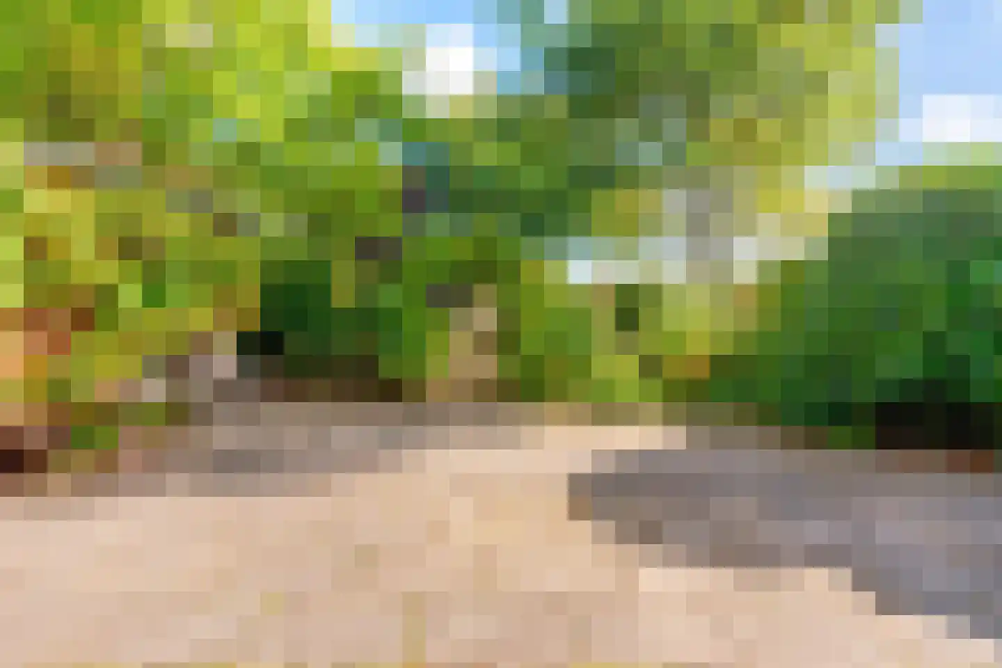 Hambeek 51 Roermond thumbnail 29