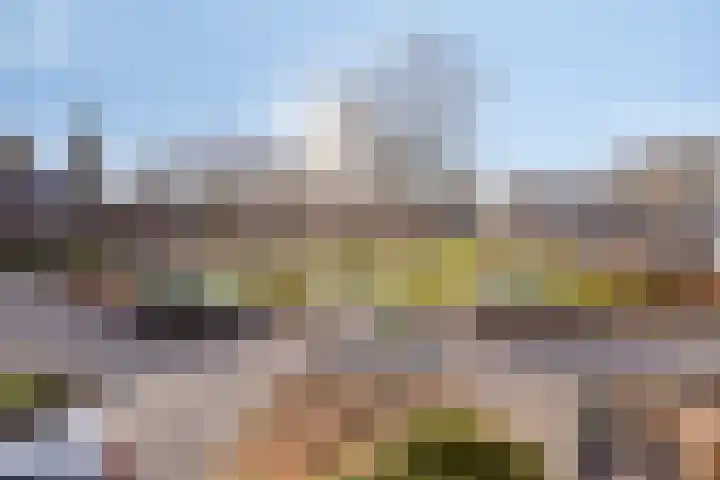 Hambeek 68 Roermond thumbnail 32
