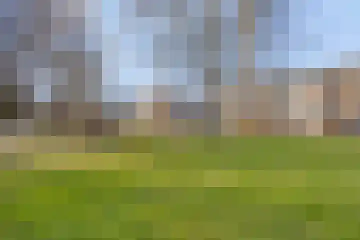 Hambeek 68 Roermond thumbnail 37