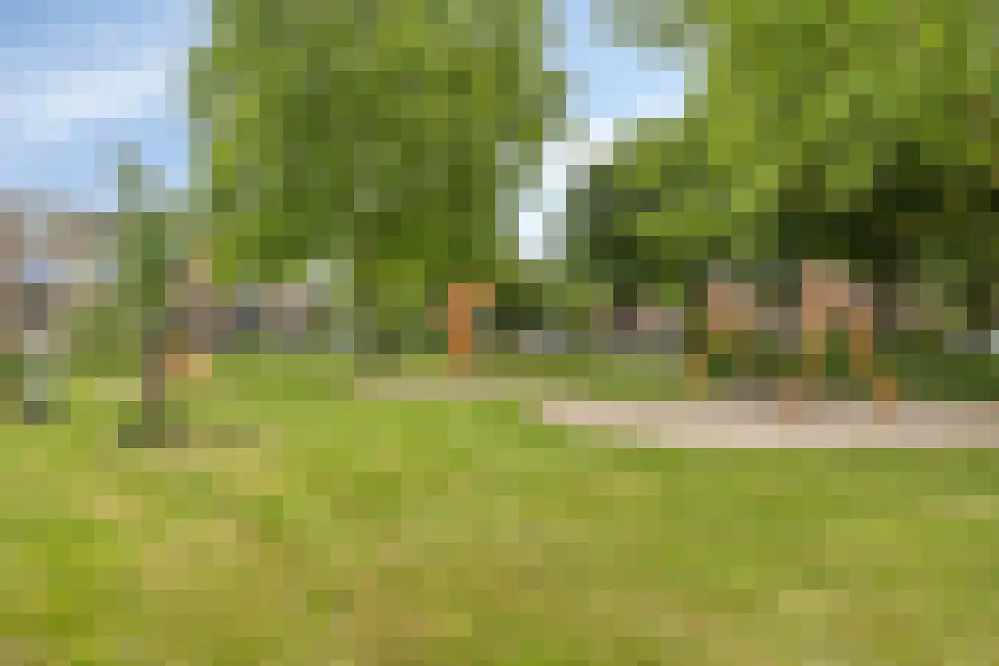 Hambeek 74 Roermond thumbnail 29
