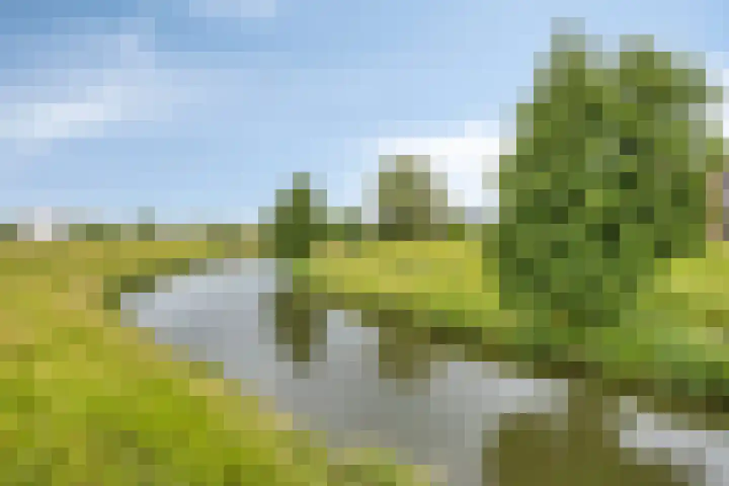 Hambeek 74 Roermond thumbnail 30