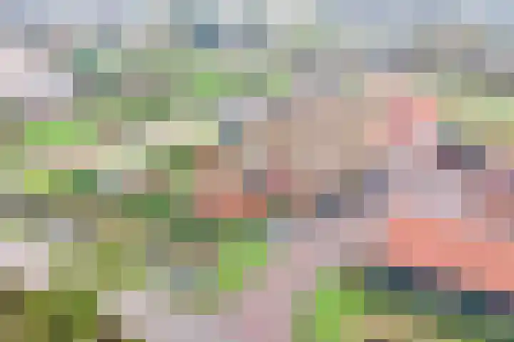 Hambloksehof 1 Aalst thumbnail 29