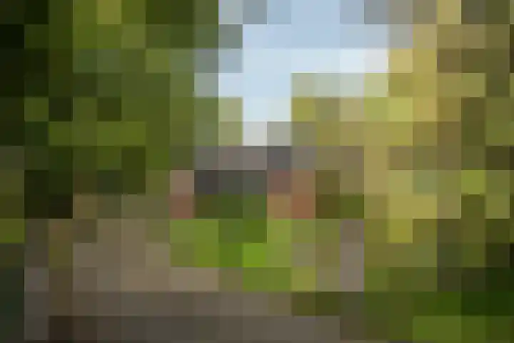 Hambree 10 Haaksbergen thumbnail 10