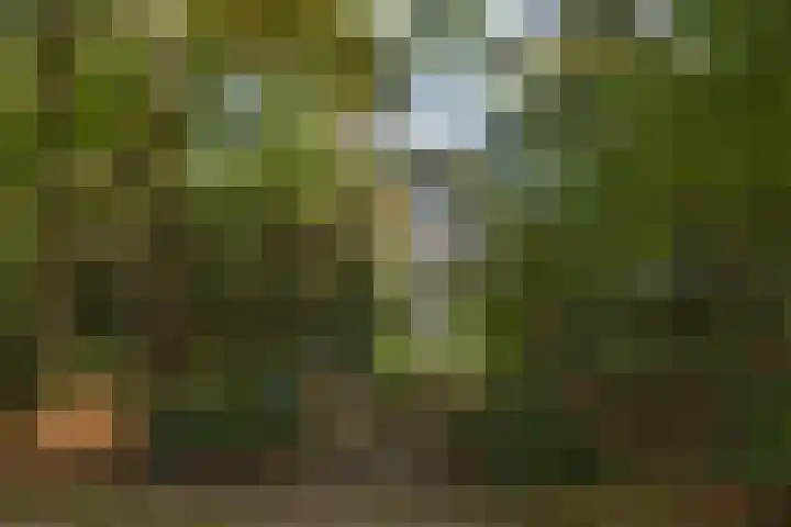 Hambree 10 Haaksbergen thumbnail 11