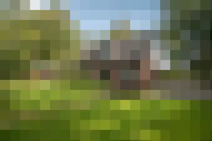 Hambree 10 Haaksbergen thumbnail 12