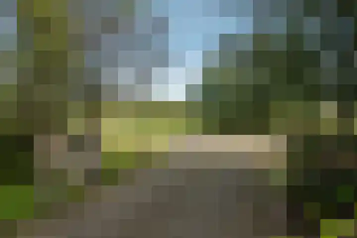 Hambree 10 Haaksbergen thumbnail 14