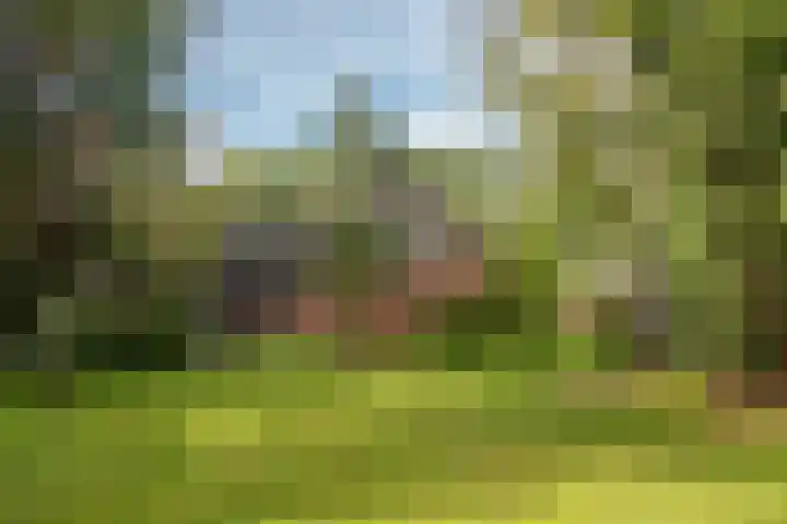 Hambree 10 Haaksbergen thumbnail 15