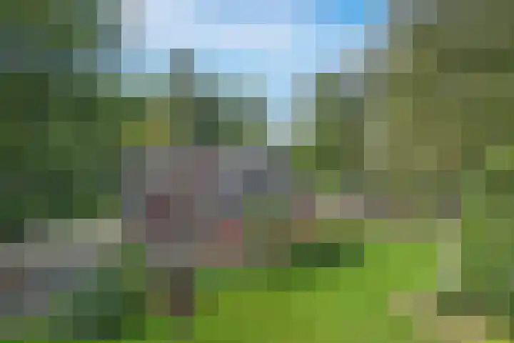 Hambree 10 Haaksbergen thumbnail 18