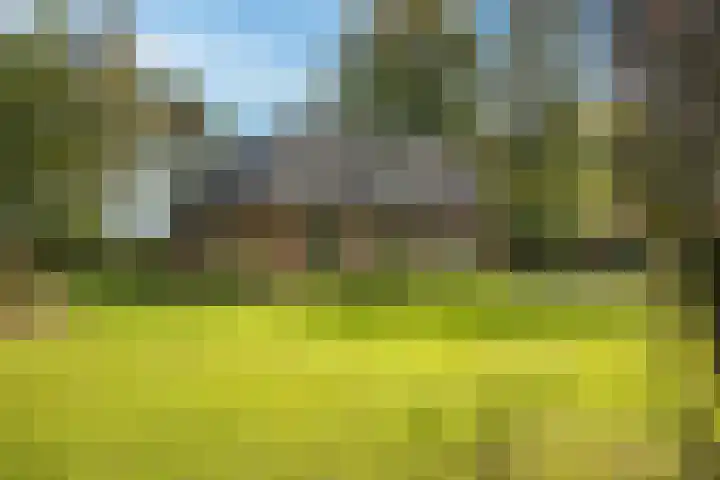 Hambree 10 Haaksbergen thumbnail 21