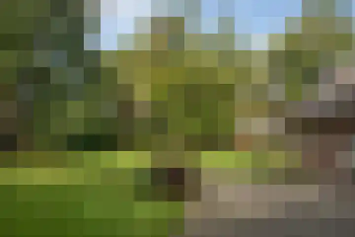 Hambree 10 Haaksbergen thumbnail 22