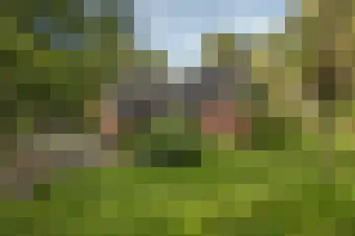 Hambree 10 Haaksbergen thumbnail 23