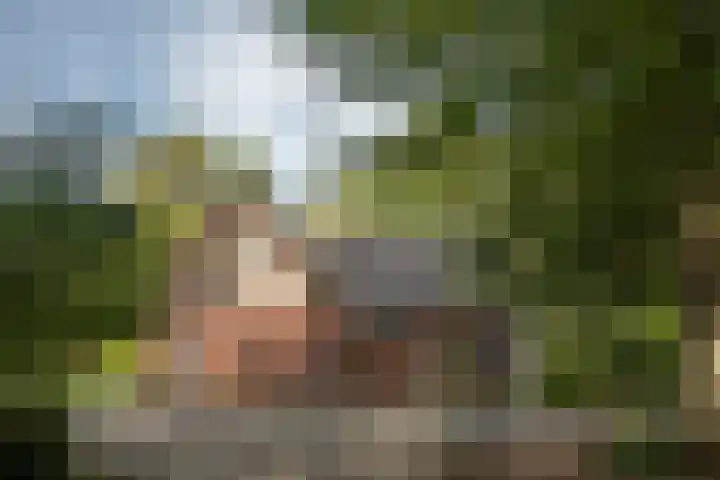 Hambree 10 Haaksbergen thumbnail 25