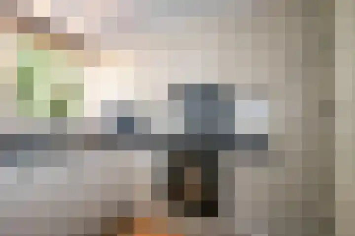 Hambree 10 Haaksbergen thumbnail 29