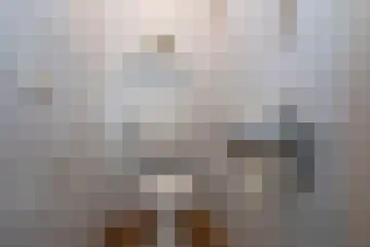 Hambree 10 Haaksbergen thumbnail 32