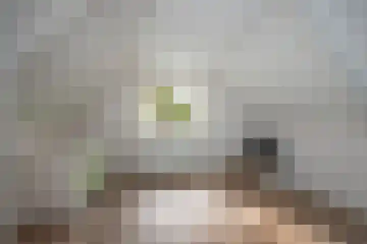 Hambree 10 Haaksbergen thumbnail 37
