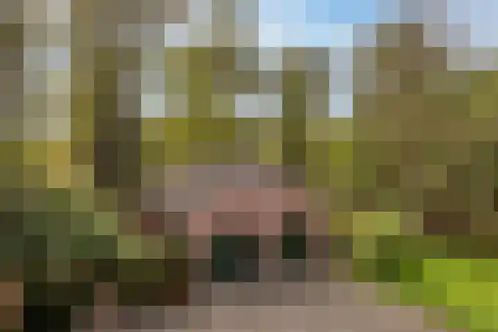 Hambree 10 Haaksbergen thumbnail 39