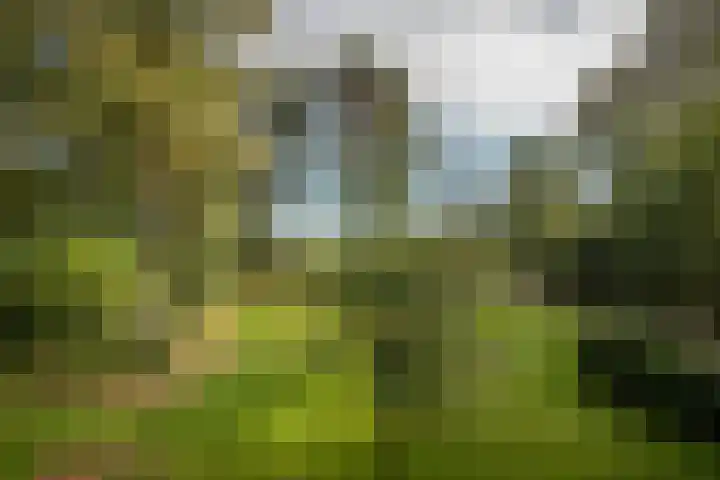 Hambree 10 Haaksbergen thumbnail 40