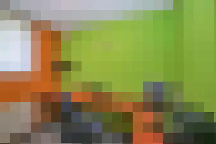Hambree 10 Haaksbergen thumbnail 44