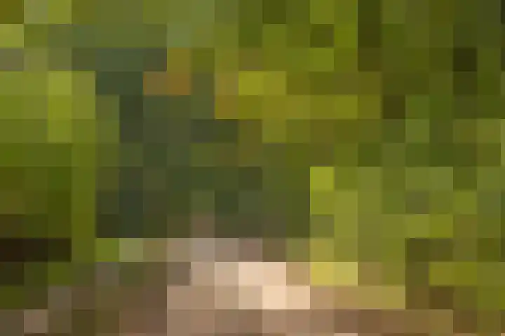 Hambree 10 Haaksbergen thumbnail 45