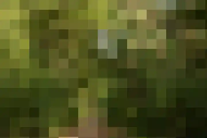 Hambree 10 Haaksbergen thumbnail 46