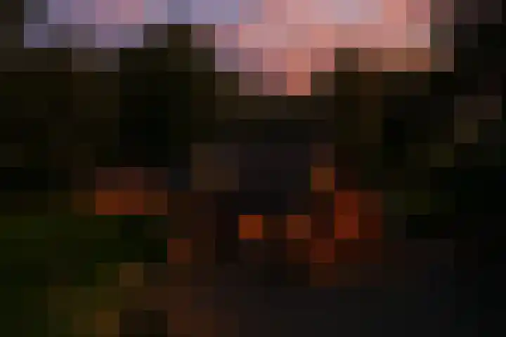 Hambree 10 Haaksbergen thumbnail 48