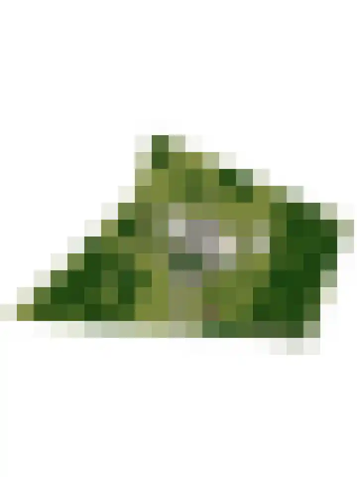 Hambree 10 Haaksbergen thumbnail 49