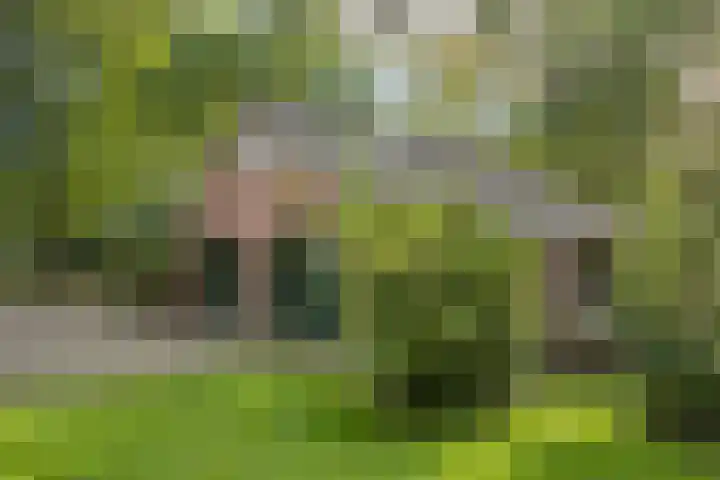 Hambree 10 Haaksbergen thumbnail 5