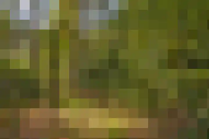 Hambree 10 Haaksbergen thumbnail 7