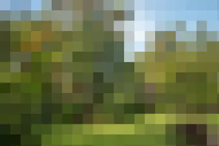 Hambree 10 Haaksbergen thumbnail 8