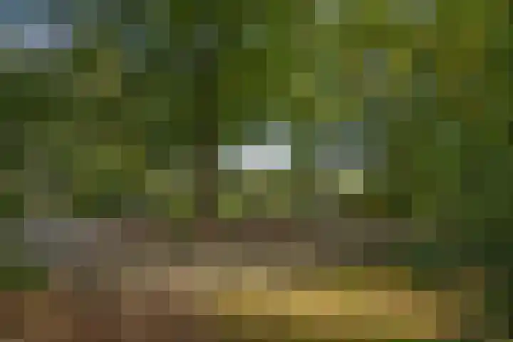 Hambree 10 Haaksbergen thumbnail 9
