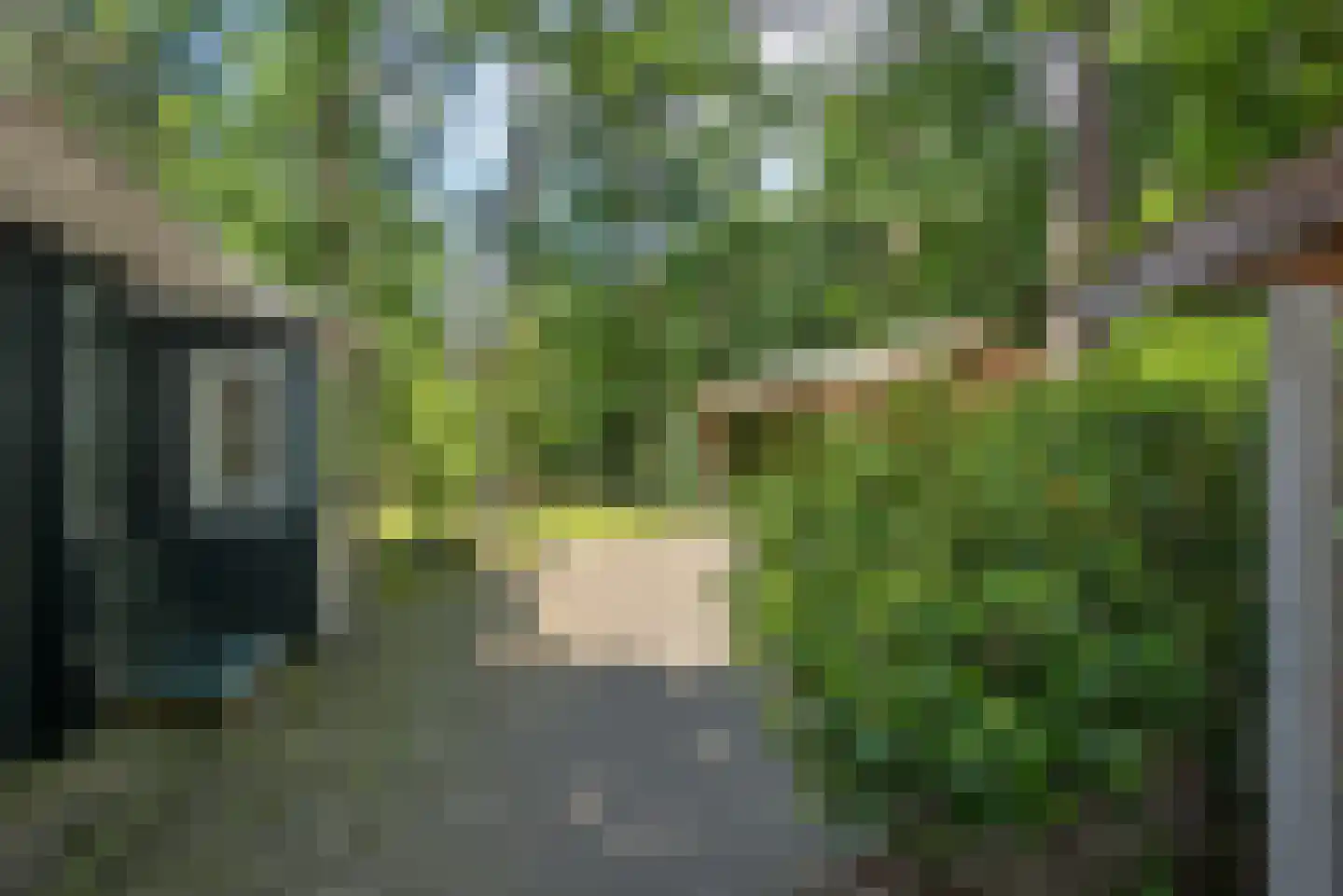 Hambree 29 Haaksbergen thumbnail 11