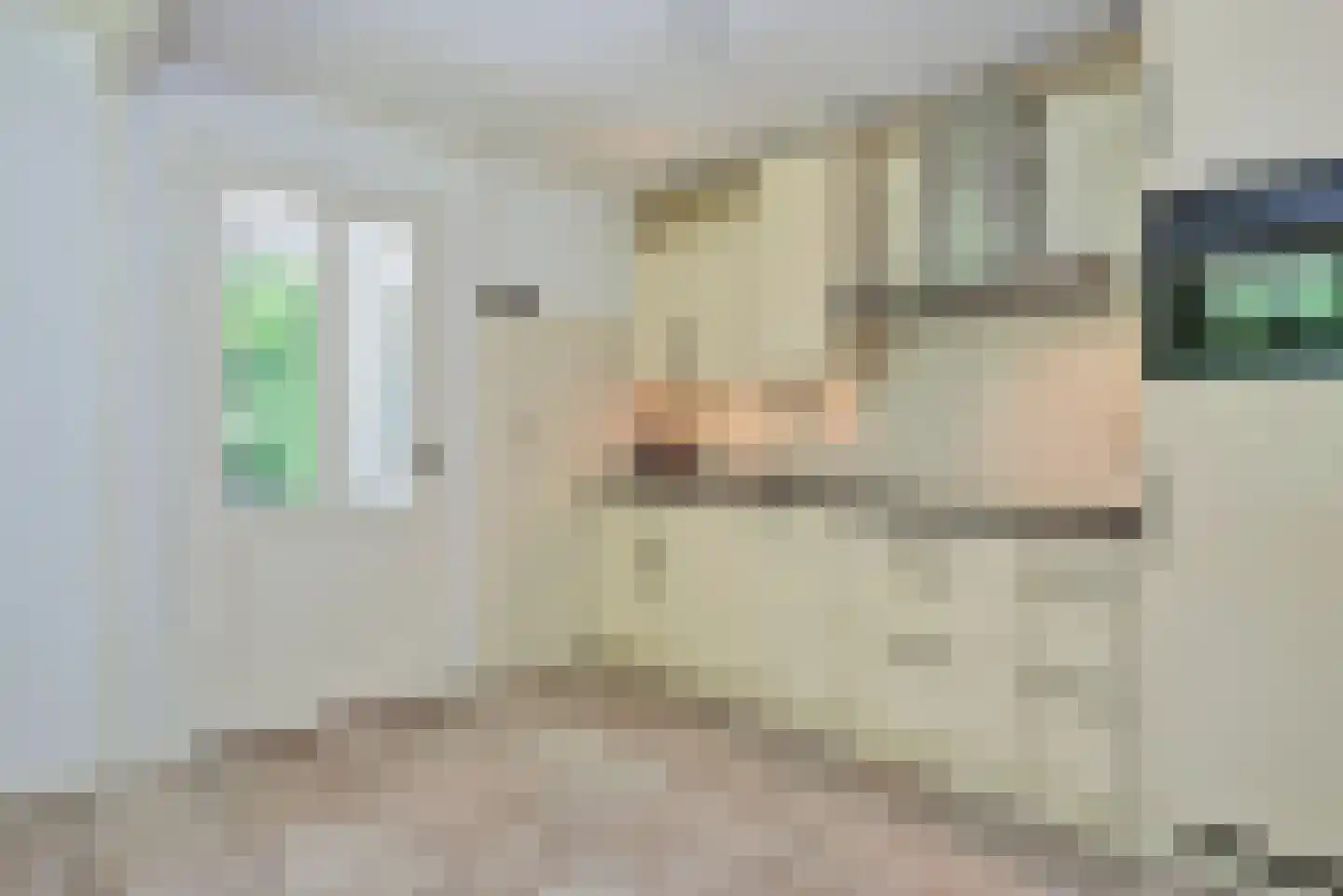 Hambree 29 Haaksbergen thumbnail 16