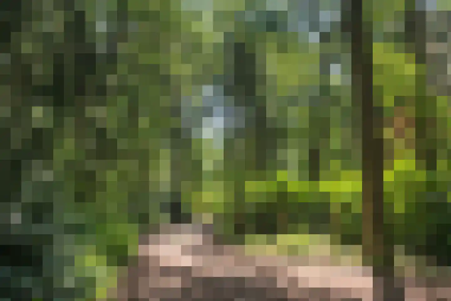 Hambree 29 Haaksbergen thumbnail 25