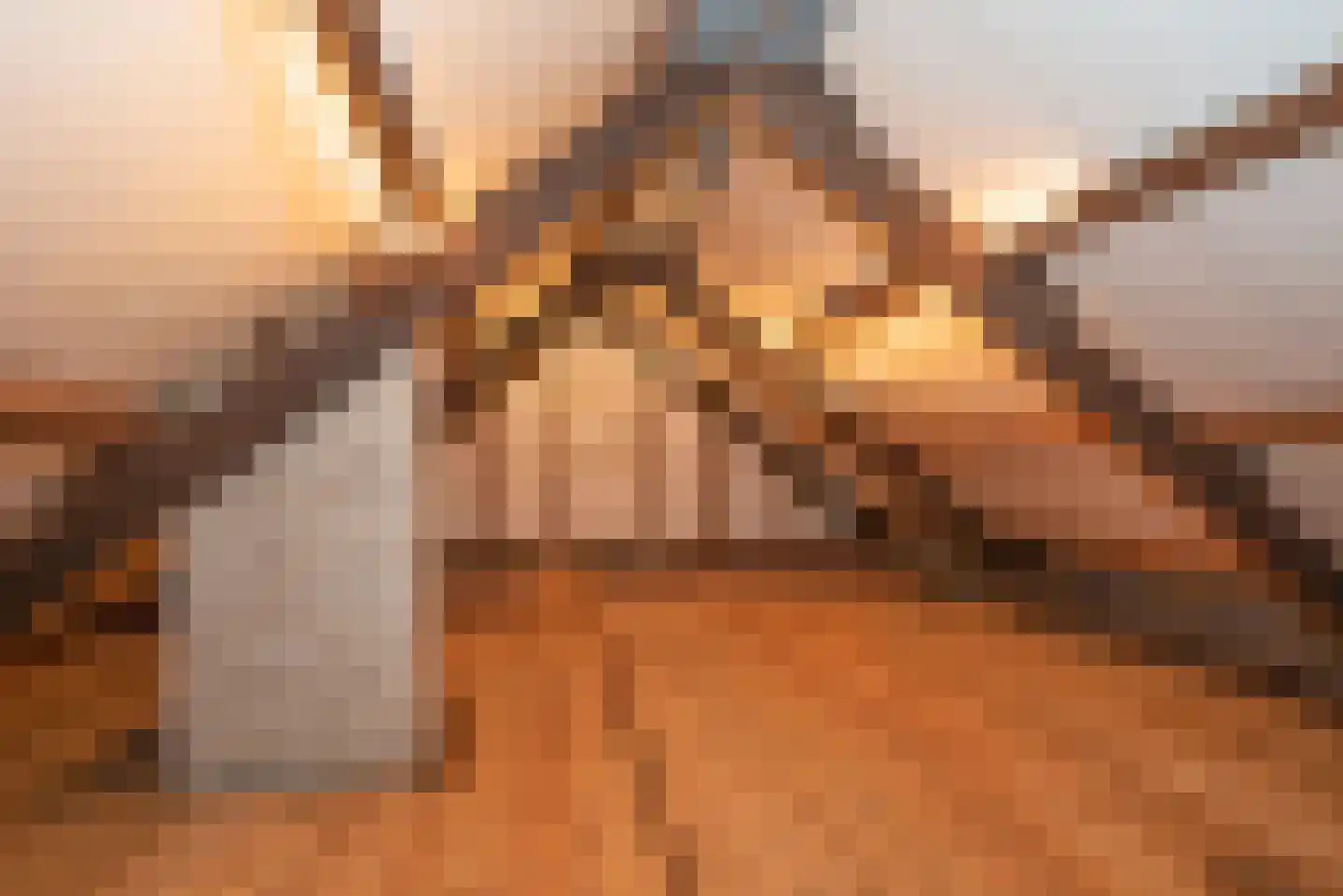 Hambree 29 Haaksbergen thumbnail 27