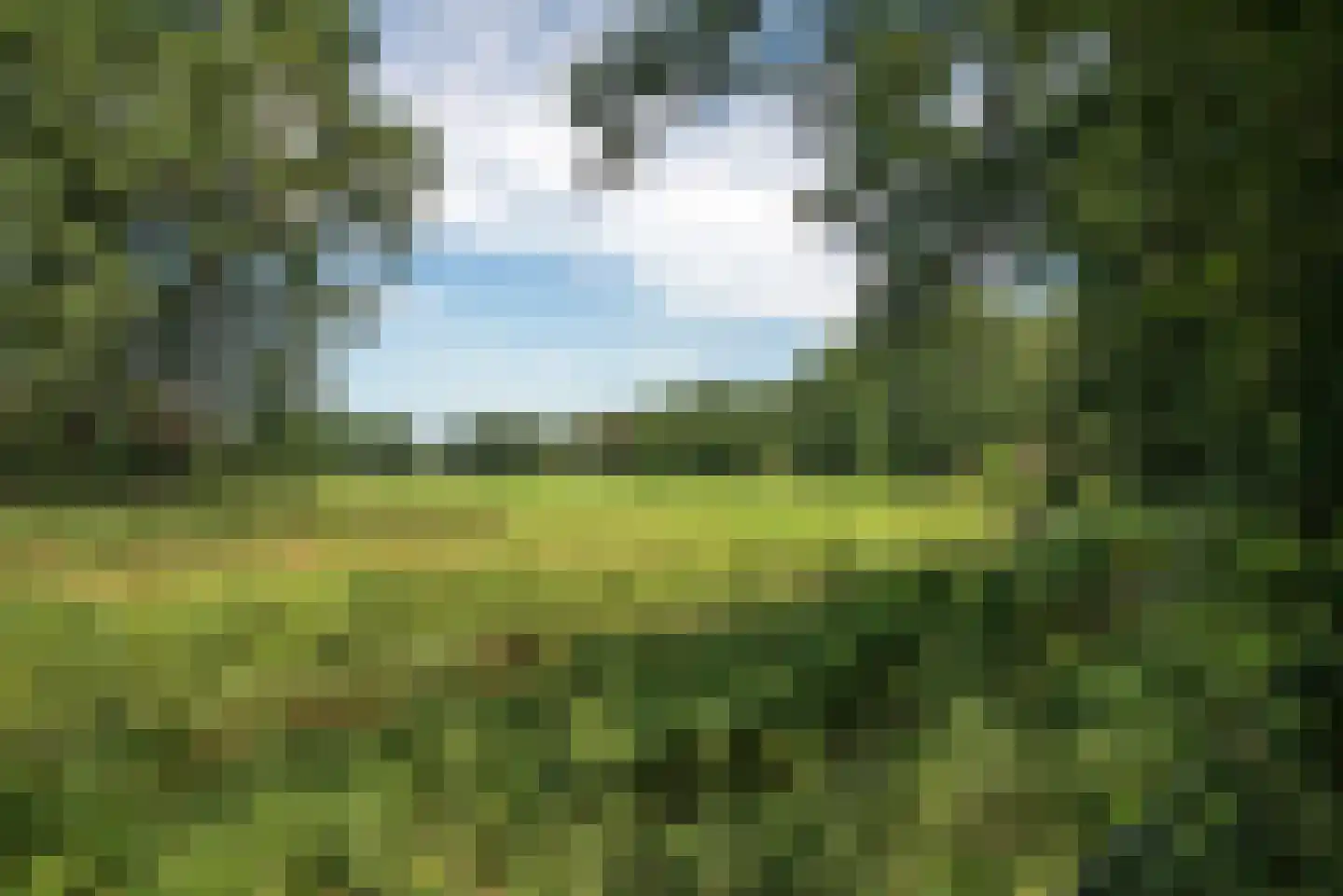 Hambree 29 Haaksbergen thumbnail 28