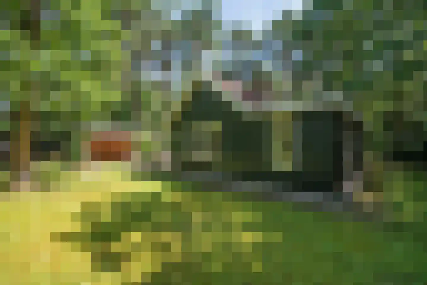 Hambree 29 Haaksbergen thumbnail 4