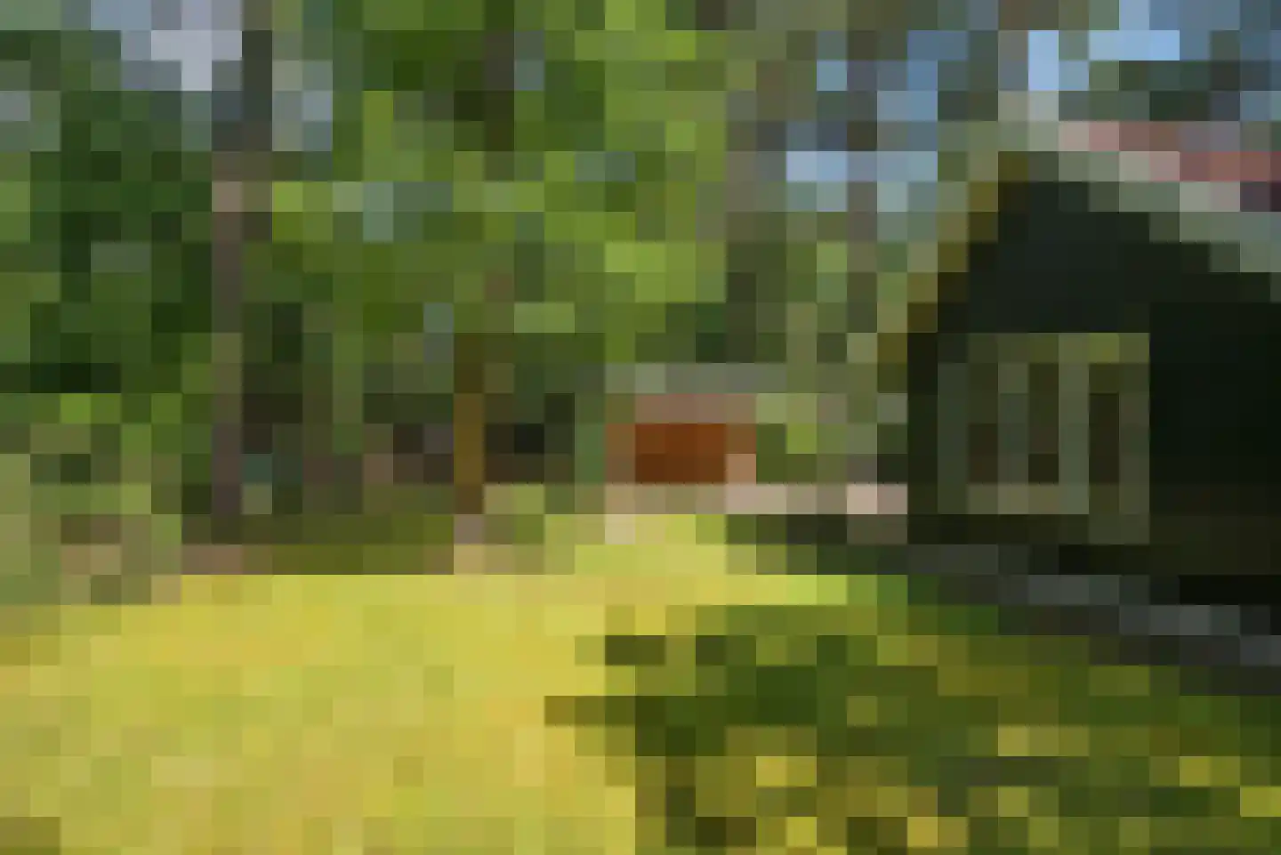 Hambree 29 Haaksbergen thumbnail 5