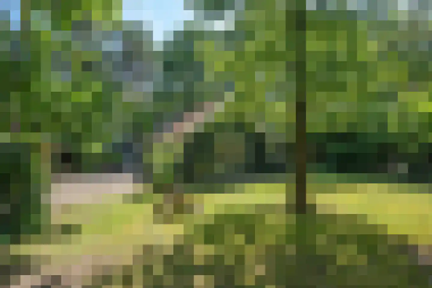 Hambree 29 Haaksbergen thumbnail 6