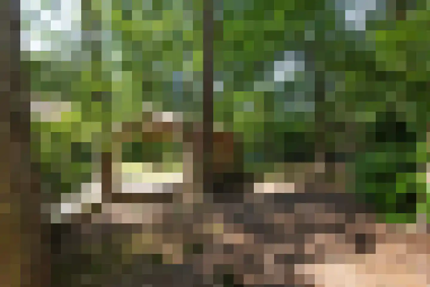 Hambree 29 Haaksbergen thumbnail 8
