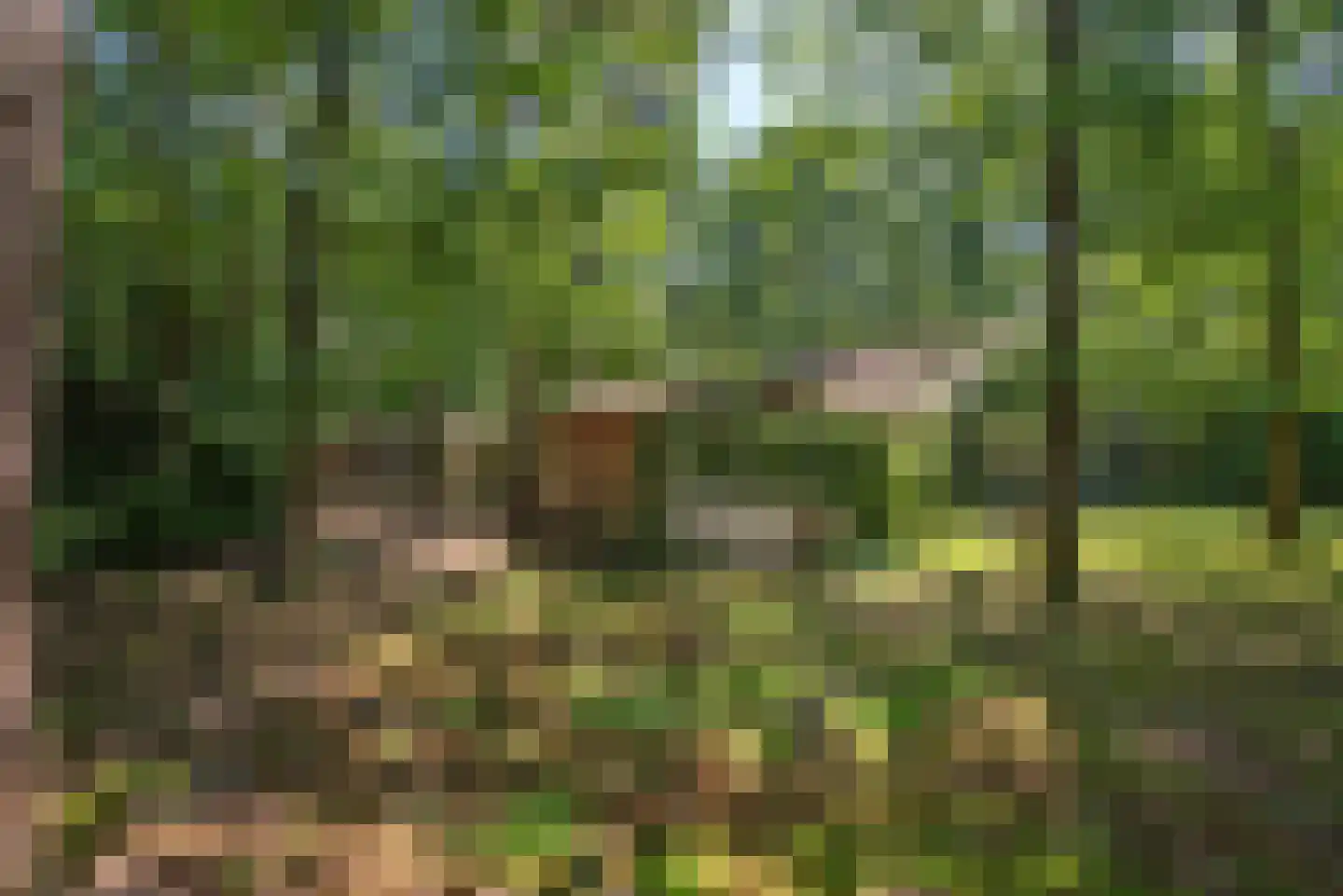 Hambree 29 Haaksbergen thumbnail 9