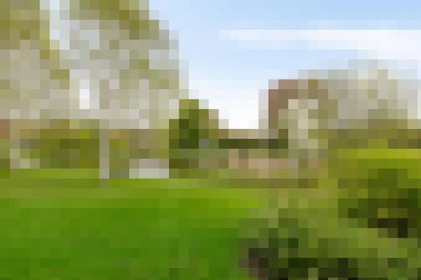 Hamburgerstraat 14 b Groningen thumbnail 39