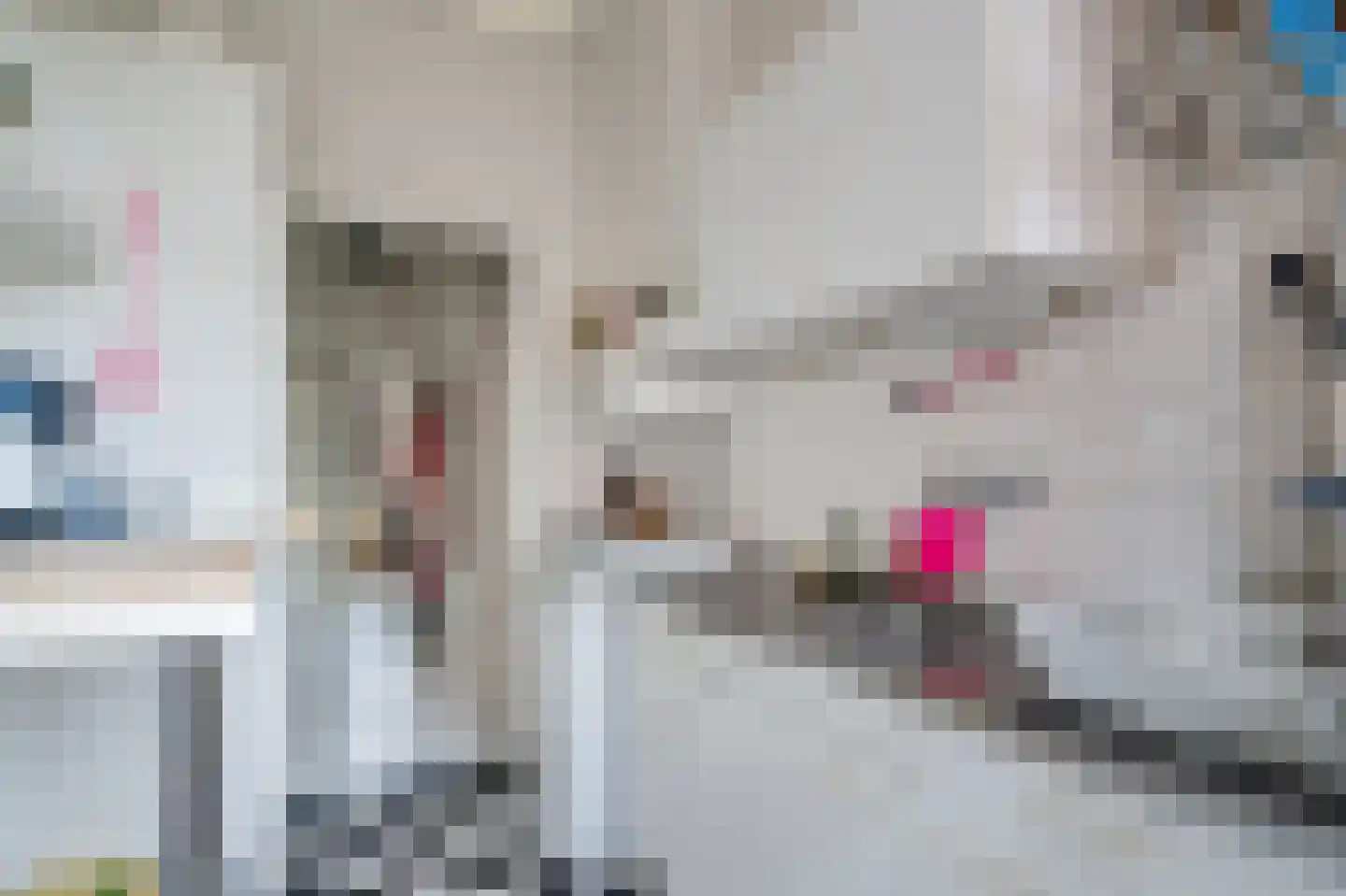 Hamburgerstraat 16 a Groningen thumbnail 24
